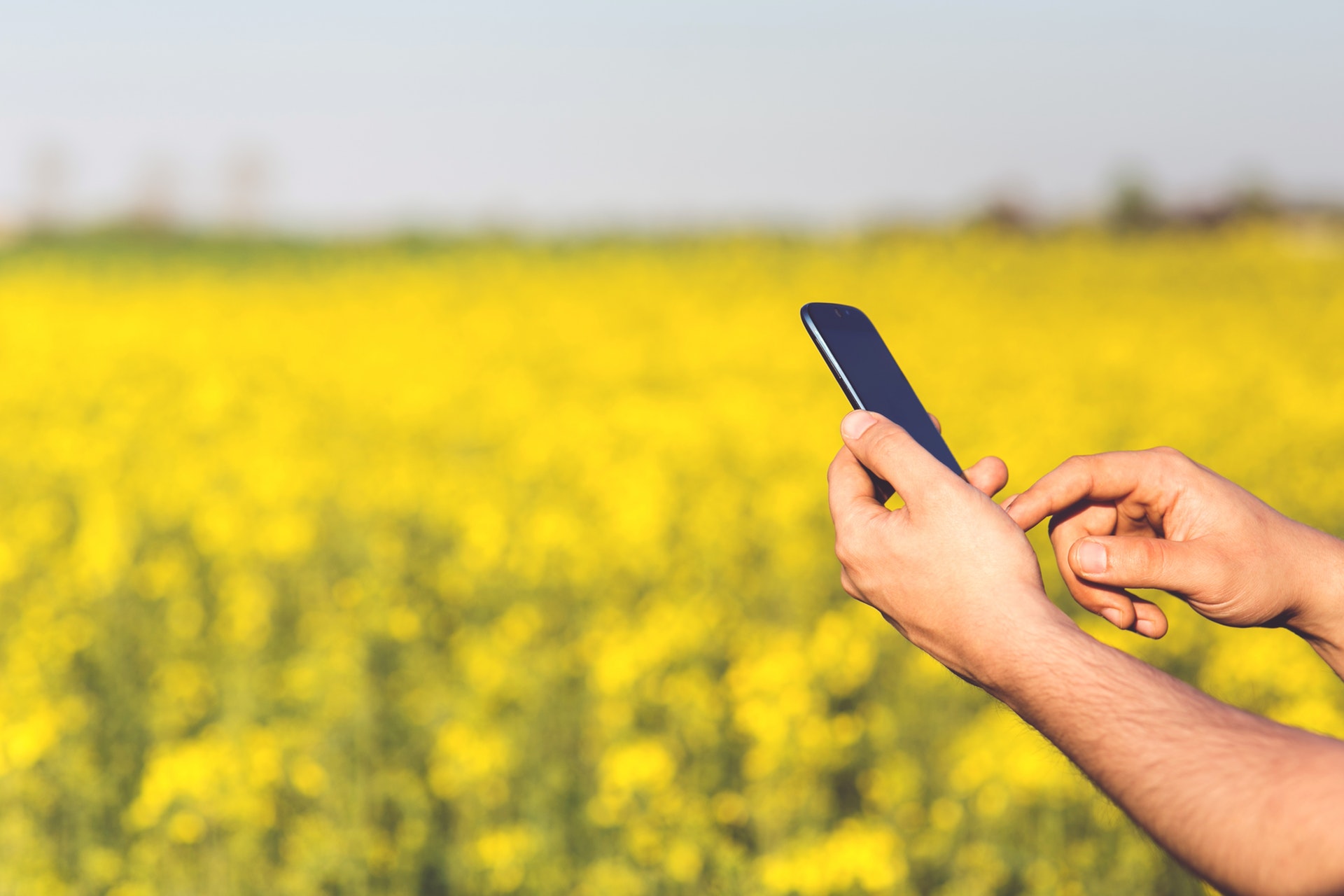 5 Things AgTech Investors Are Looking for in AgTech Startups